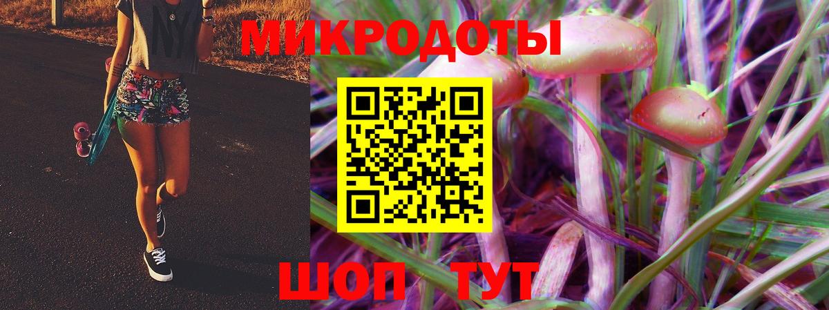 Галлюциногенные грибы Cubensis Подольск